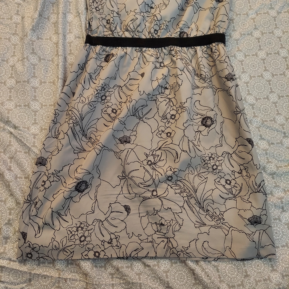 LOFT dress - Picture 4 of 5